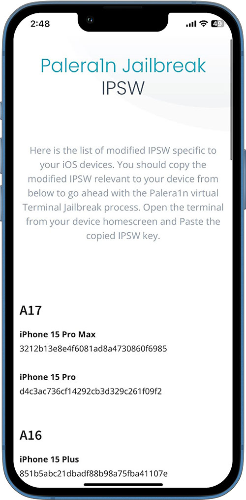 Copy your IPSW key