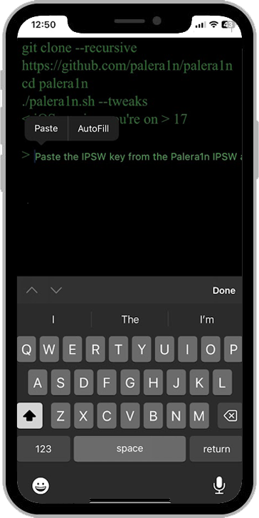 Paste the IPSW key