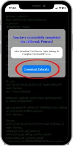 Palera1n App