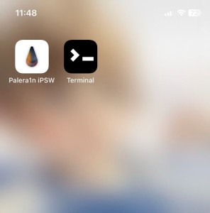Palera1n App