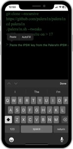 Palera1n IPSW Paste