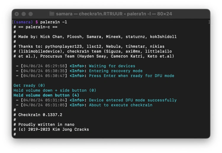 Palera1n Web Terminal